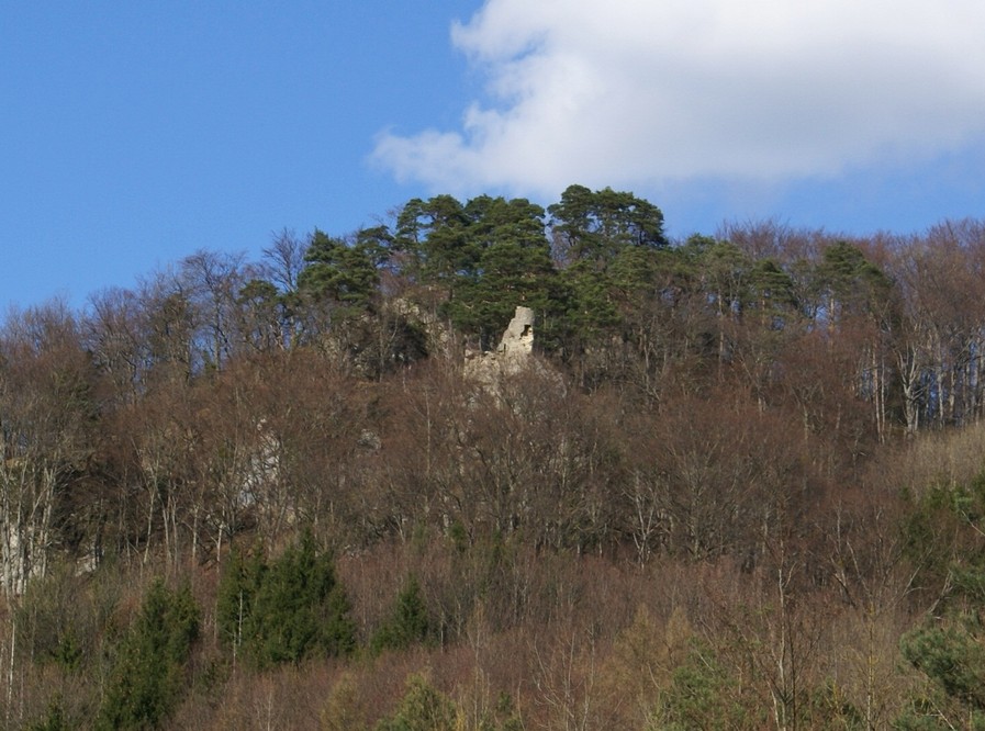 02.04.2010-085 Ruine Wild-Eptingen (Witwald)