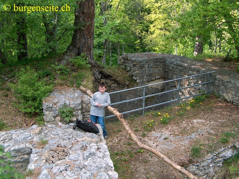 Ruine Alt Schauenburg