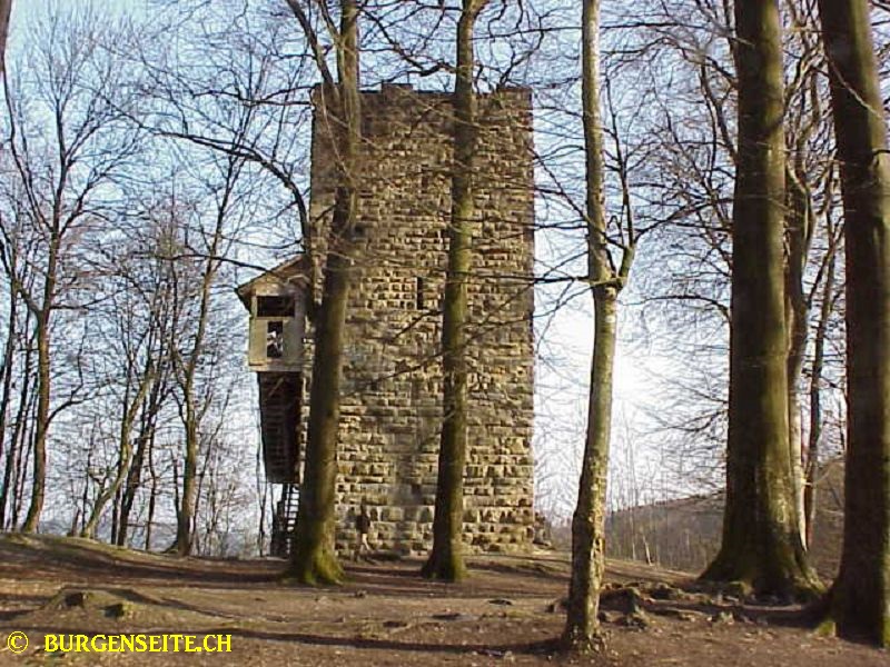 Alt-Wuelflingen–8- Ruine Alt Wülflingen