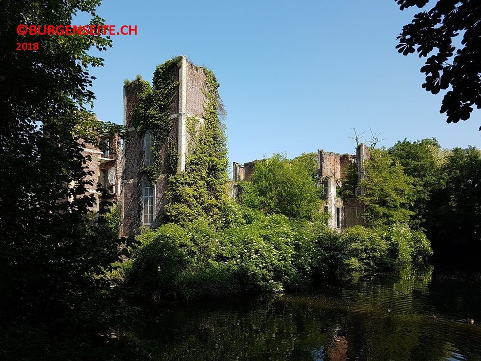 Ruine Born