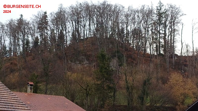 Burghügel Bürgli