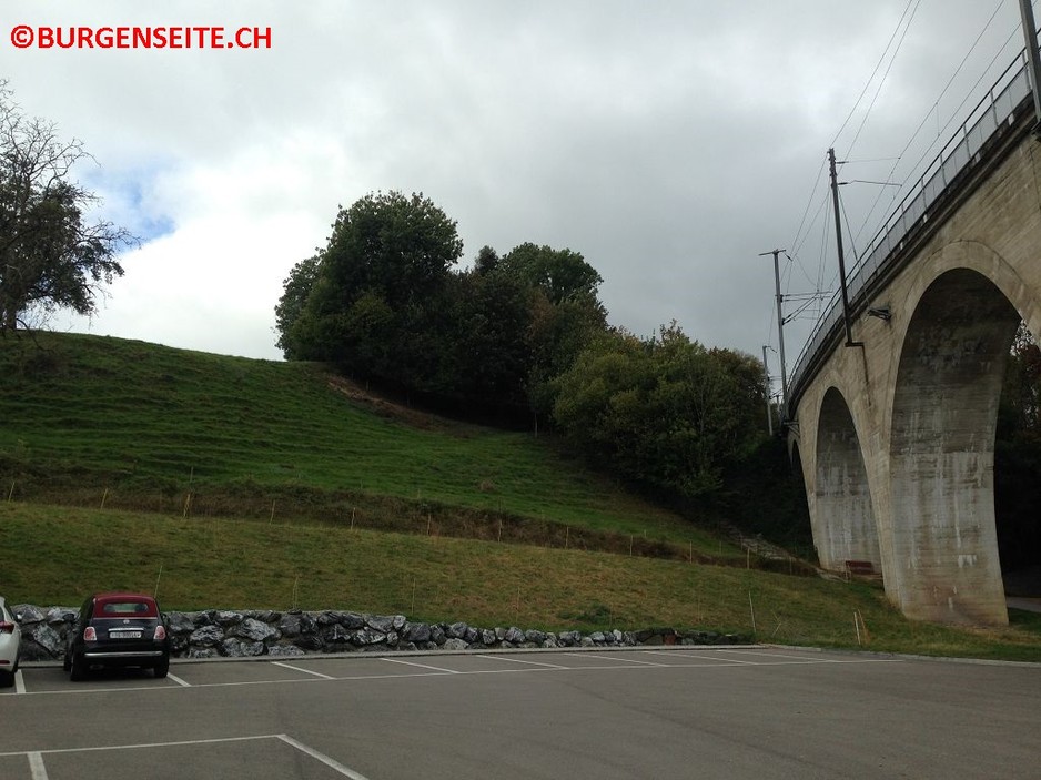 Burg-Bussnang–1- Burgstelle Bussnang