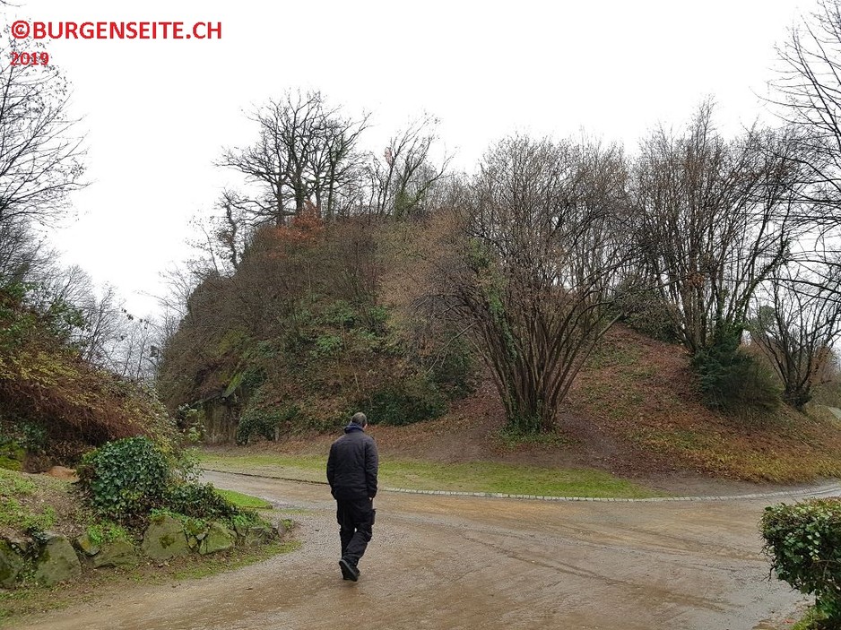Ruine Freiburg