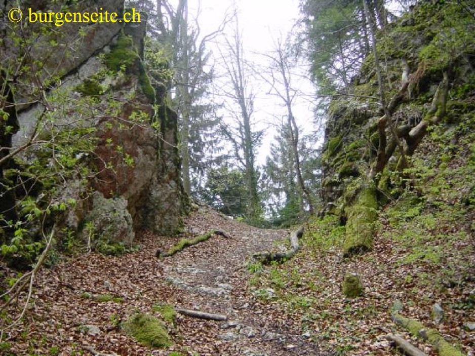 Ruine Burg Grenchen Untere