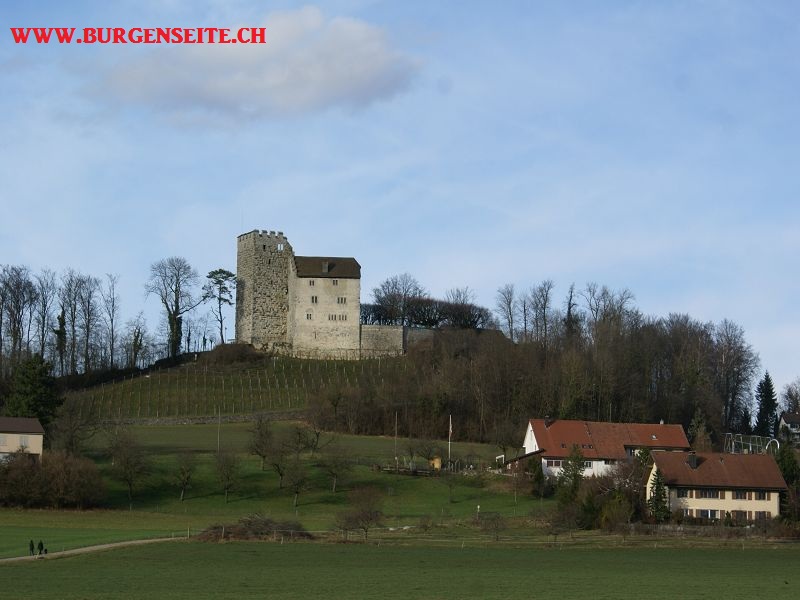 Burg Habsburg, Hintere