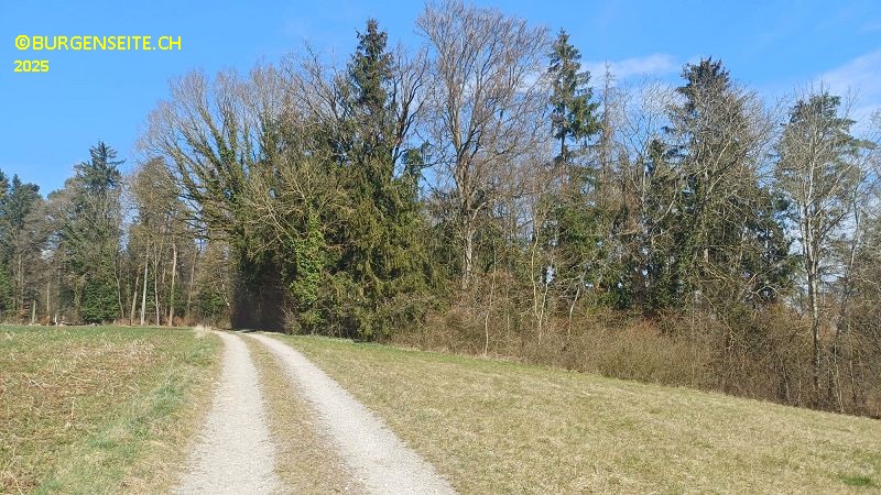 Burghügel Herten