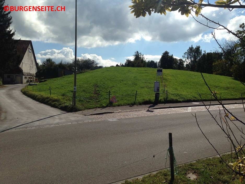 Burgstelle Holzhusen