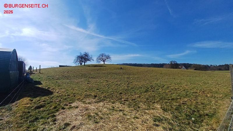 Burgstelle Hünikon