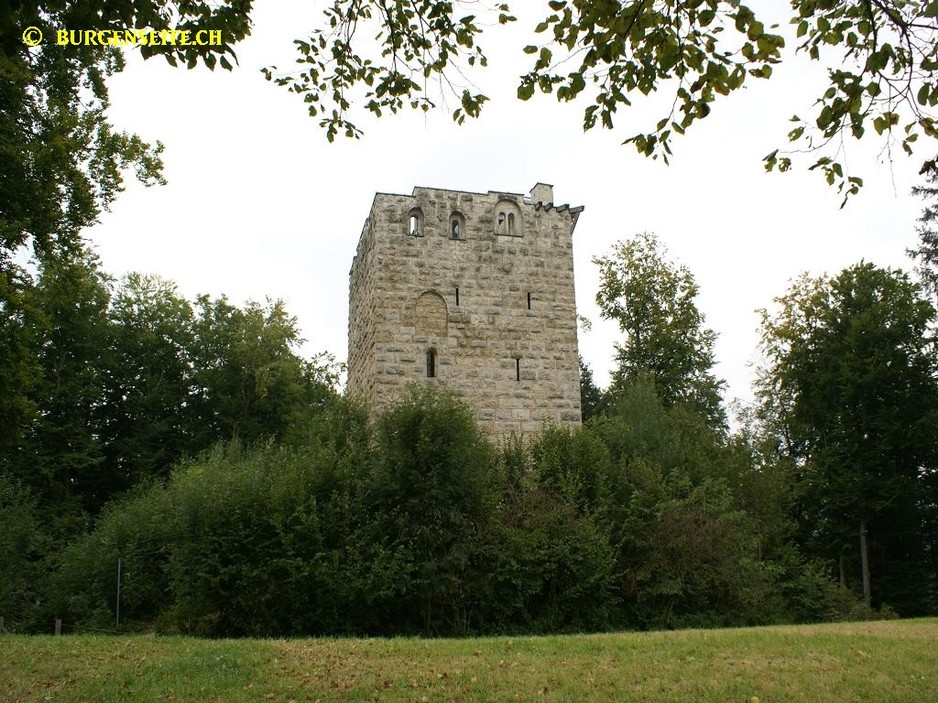 Burg Kastelen