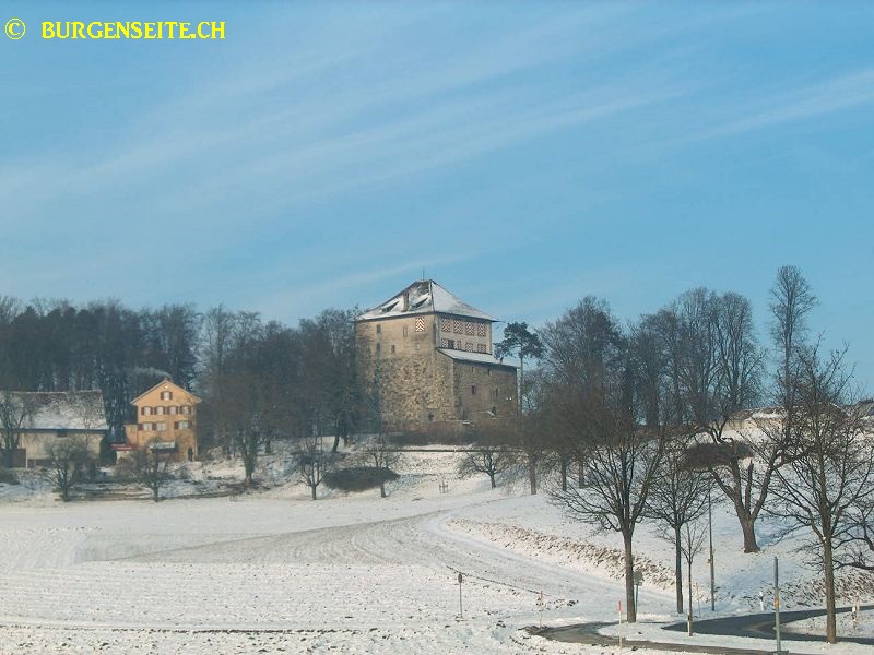 Burg Mörsburg