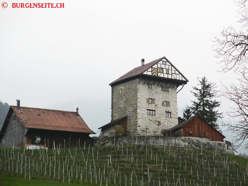 Burg Neu Altstätten