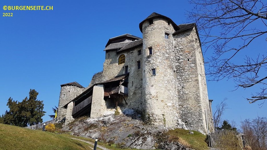 Burg Neu Ems