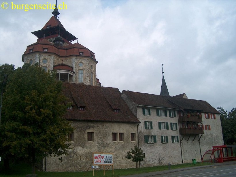 Burg Niedergösgen