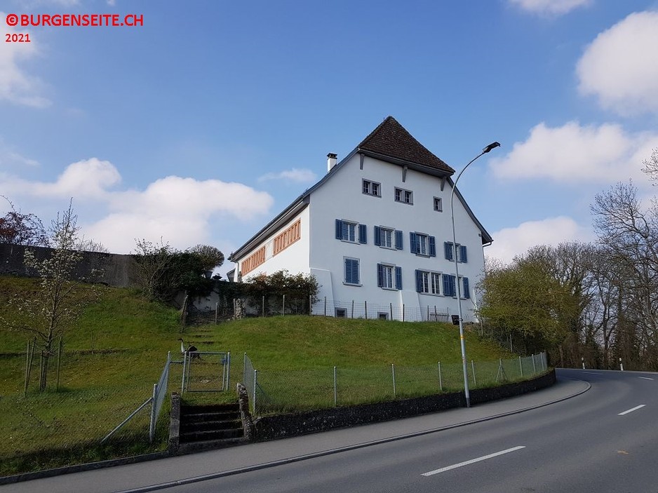 Burgstelle Rheinau