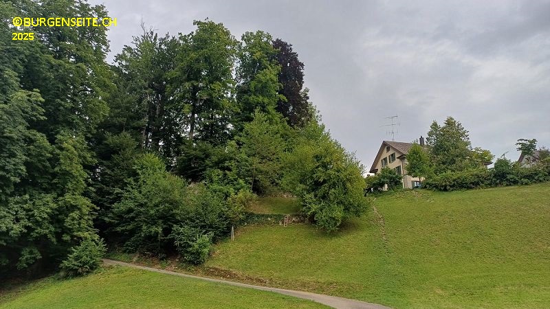 Burghügel Ruchenstein