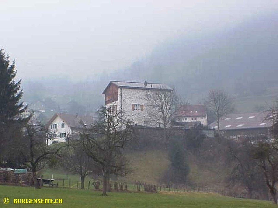Burg Schweinsberg