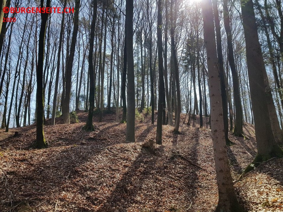 Burghügel Strassberg