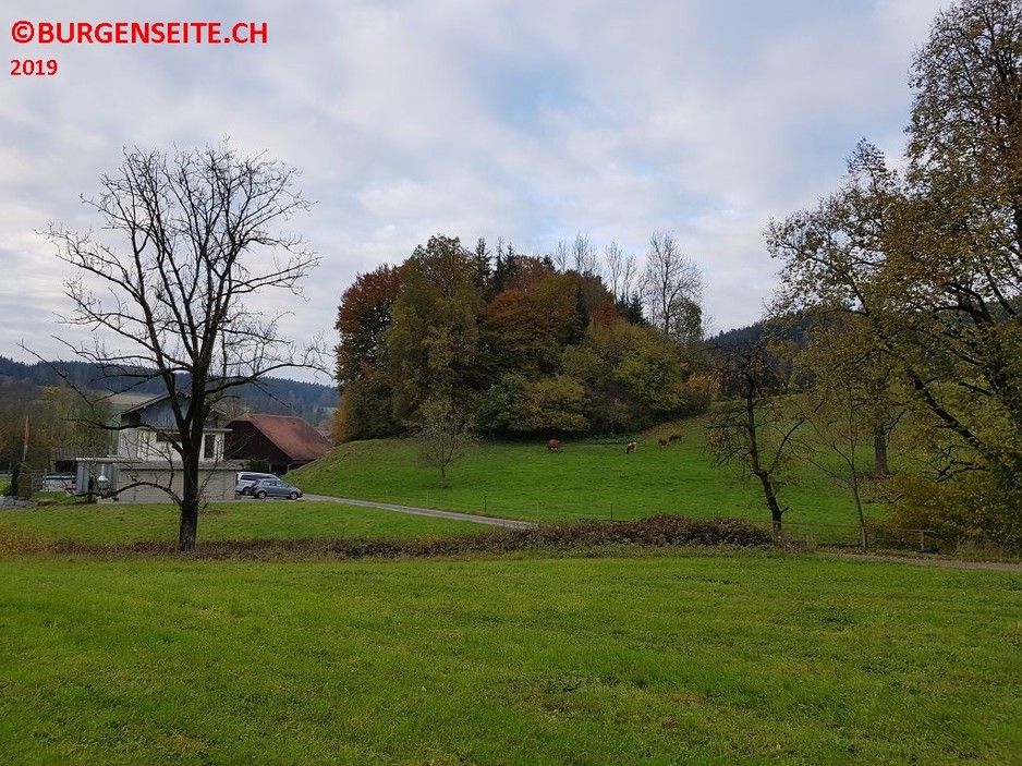 Burg-Wangen–1- Burgstelle Wangen