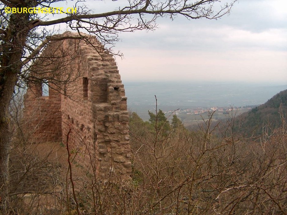 Ruine Weckmund