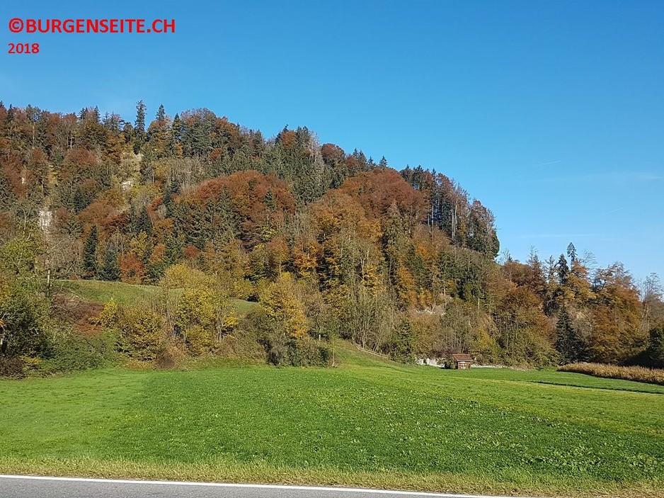Burghuegel-Burgmatt–1- Burghügel Burgmatt