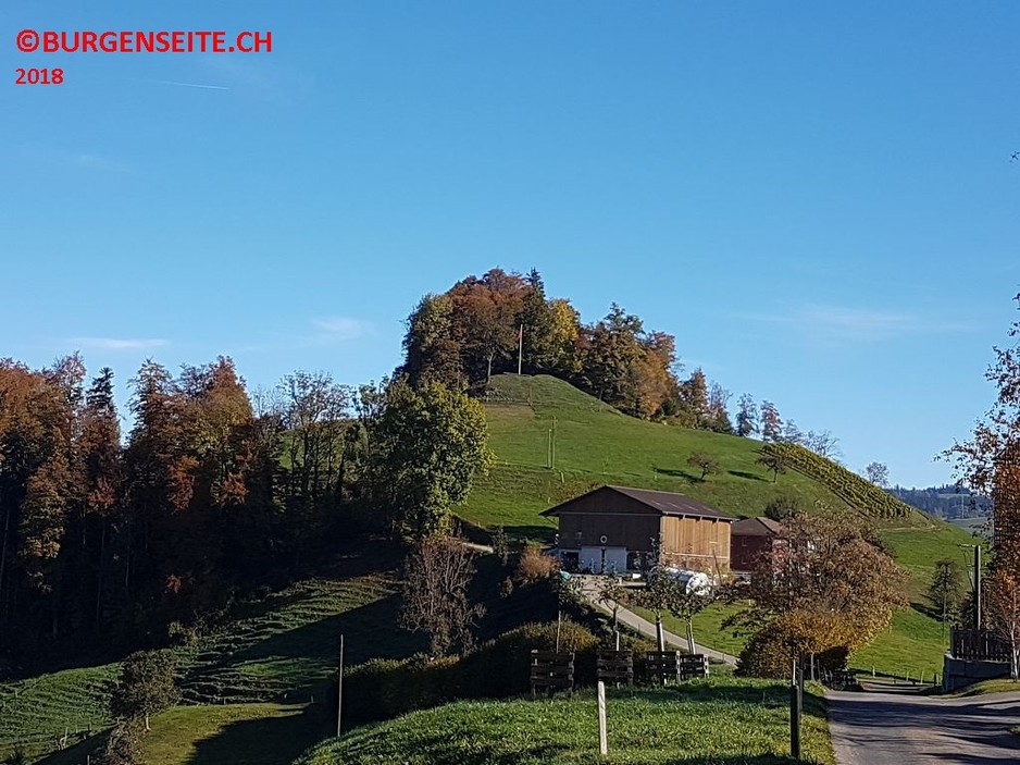 Burghügel Kapfenberg
