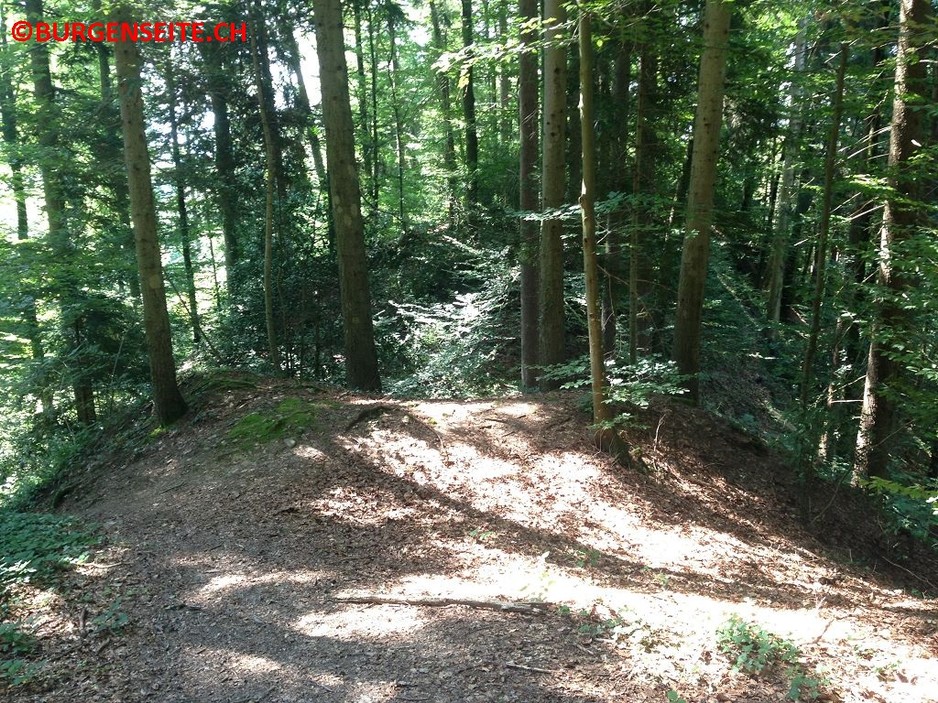 Burghügel Hadlikon