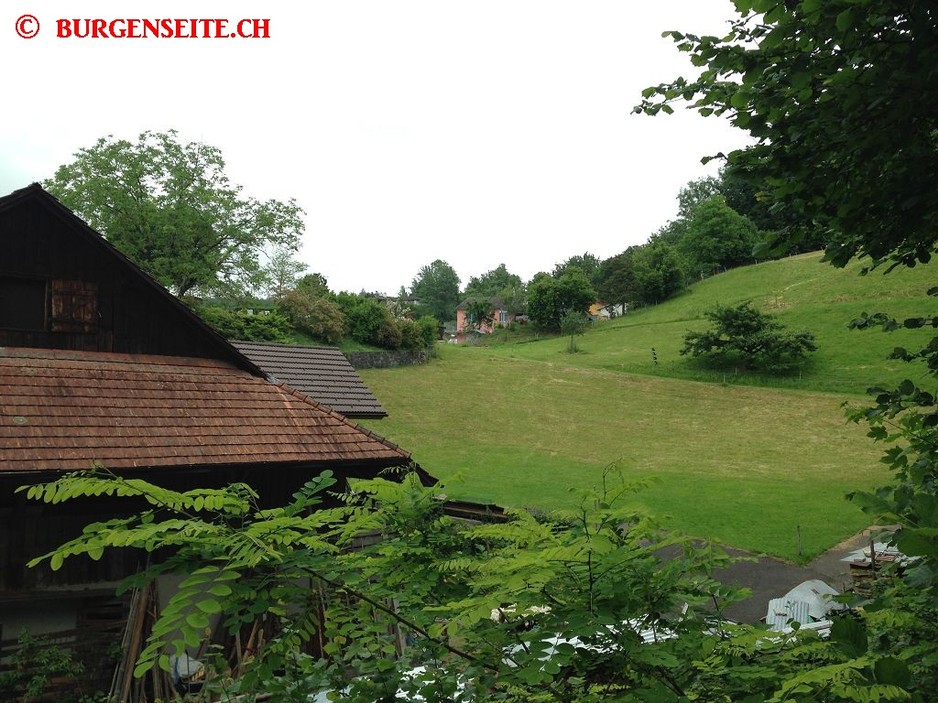 Burgstelle Hedingen