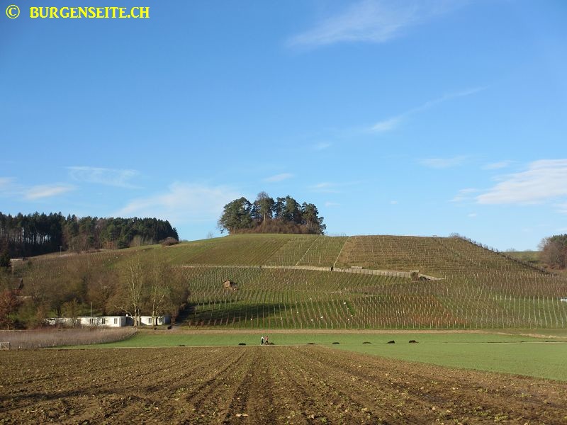 Burghügel Hellikofen