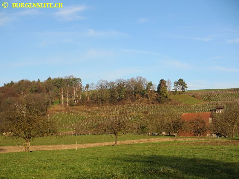 Burghügel Hirzeren