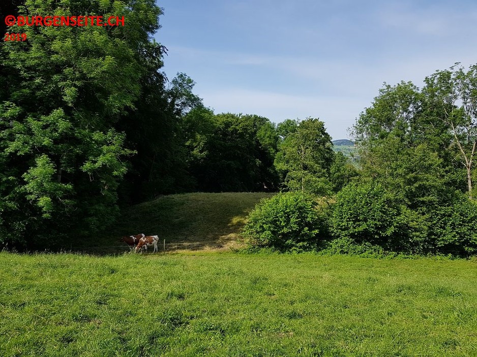 Burghuegel-Kleinwangen–5- Burghügel Kleinwangern