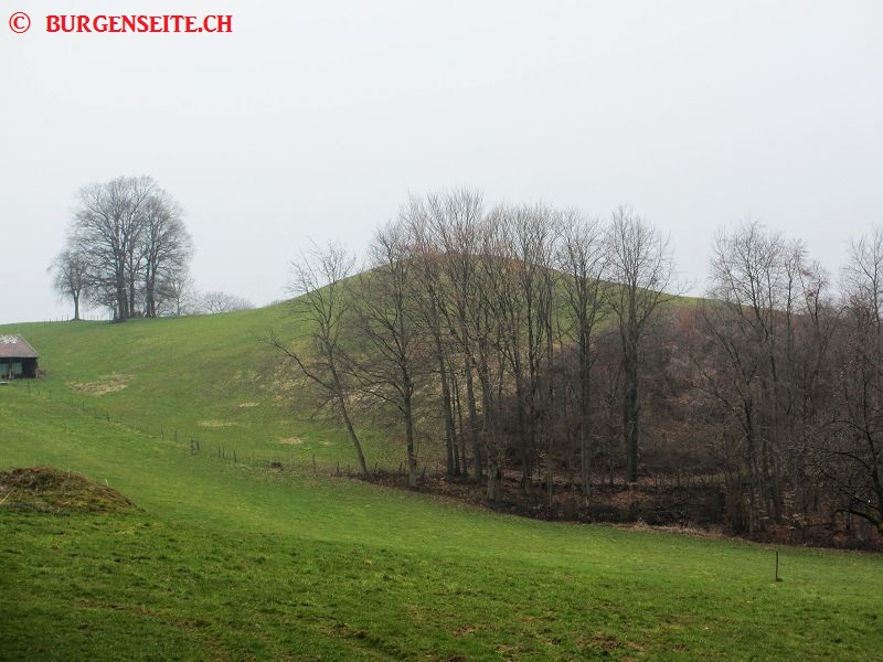 Burghuegel-Koestlach–1- Burgstelle Koestlach