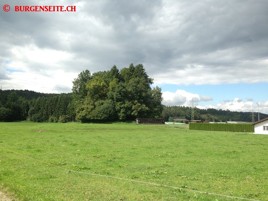 Burghuegel-Rueti–1- Burgstelle Rüti