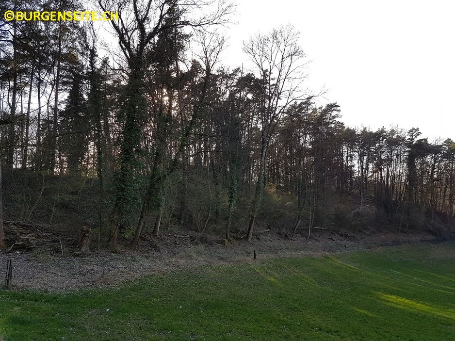 Burghuegel-Schlossbuck—1-_pj1rt90d Burghügel Schlossbuck