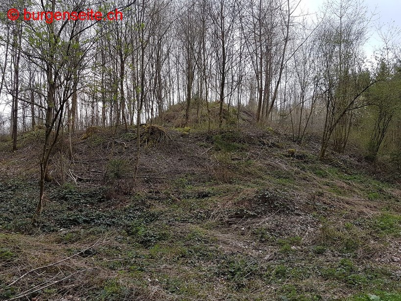 Burghügel Schlossbuck, Henggart