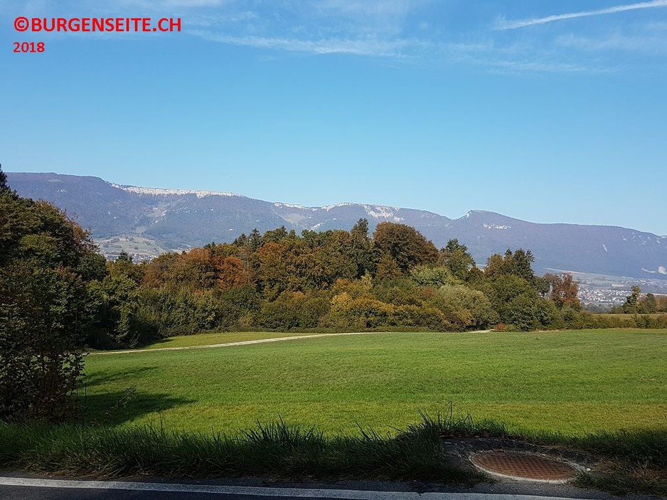 Burghügel Schlosshubel