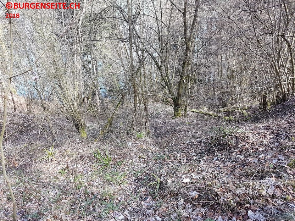 Burghügel Teuftal