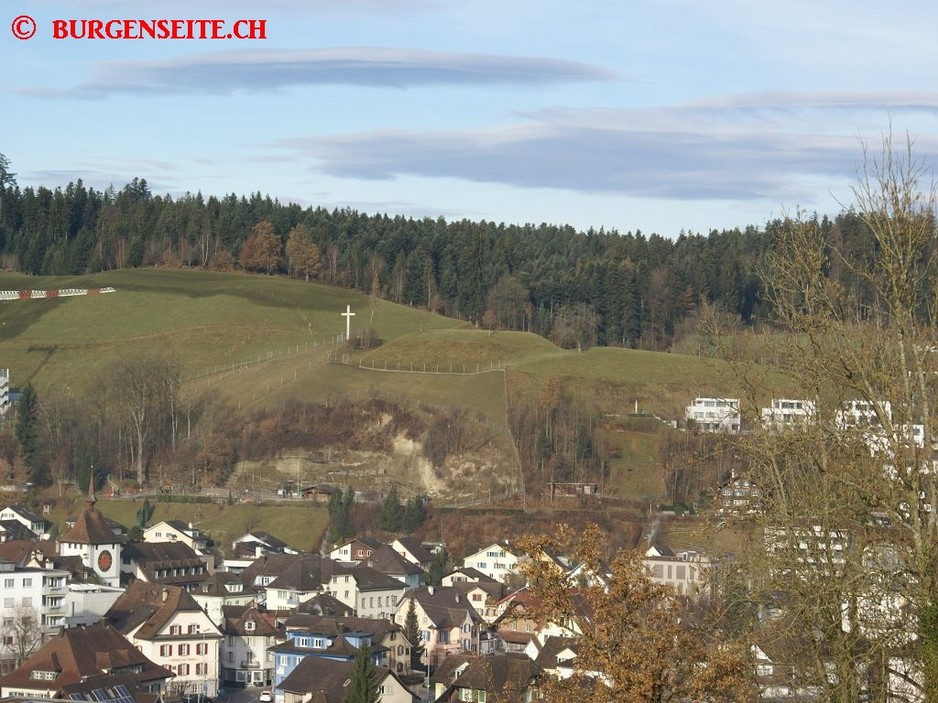 Burghuegel-Wediswil—1- Burghügel Wediswil