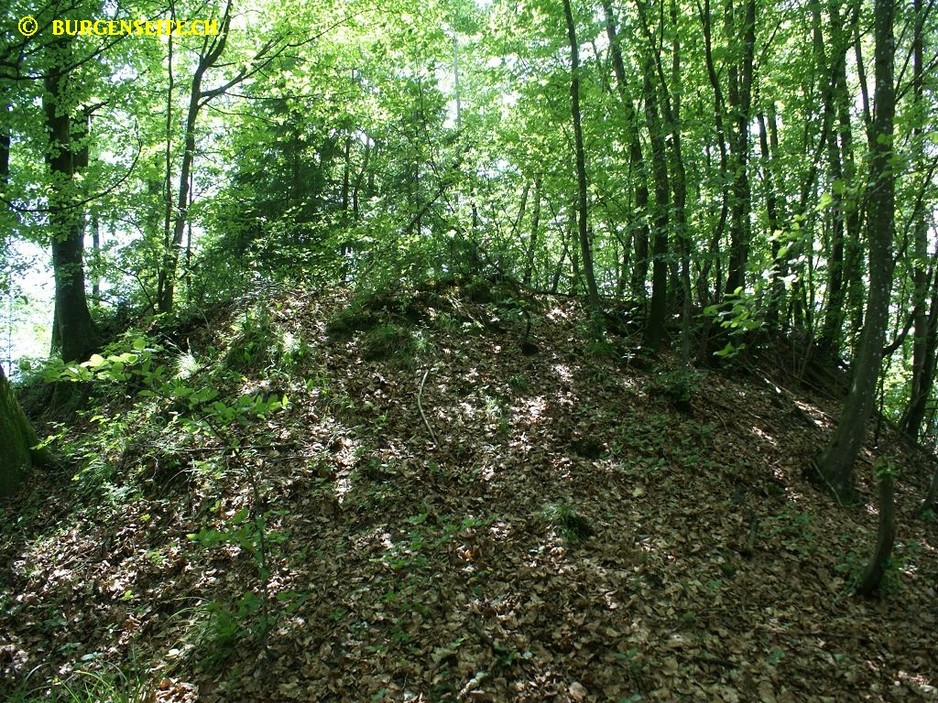 Burgstelle Wikon