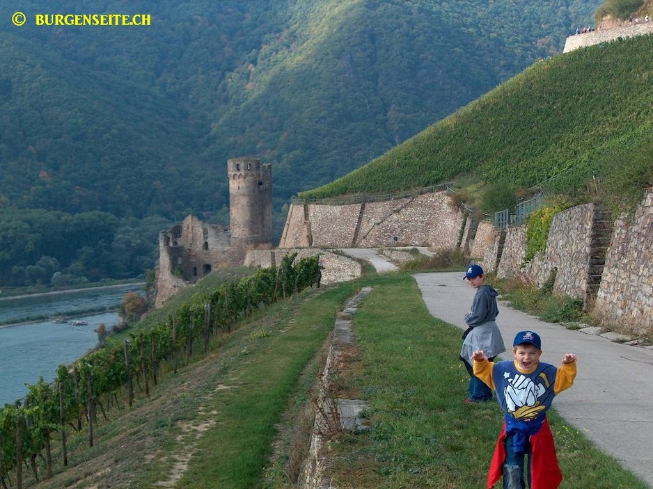 Ruine Ehrenfels