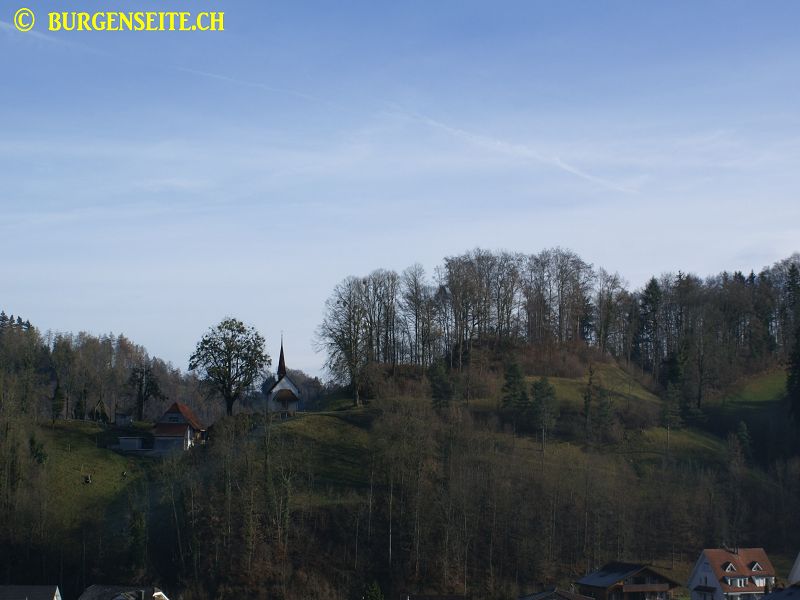 Burgstelle Alt Willisau