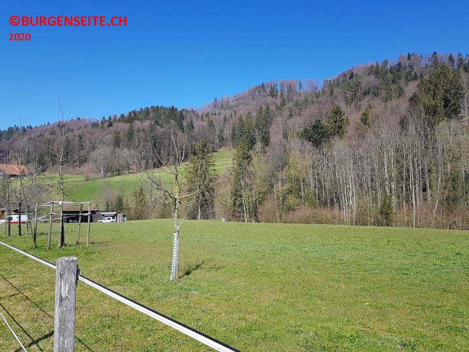 Burgstelle-Auli Burgstelle Auli