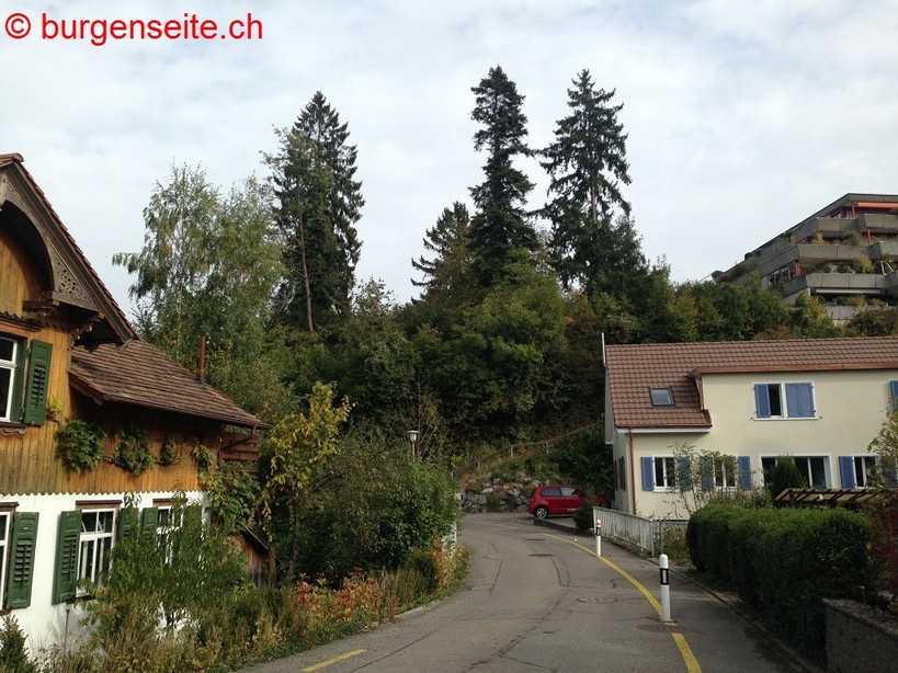 Burgstelle Bernegg