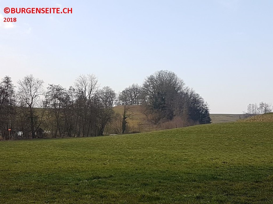 Burgstrelle Burg