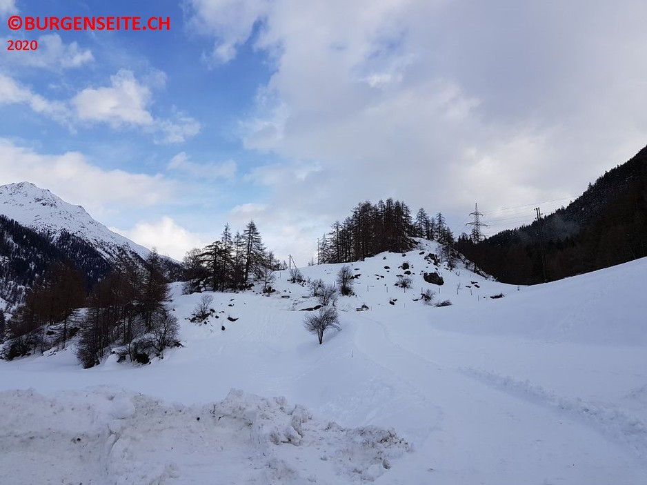 Burgstelle Castlins