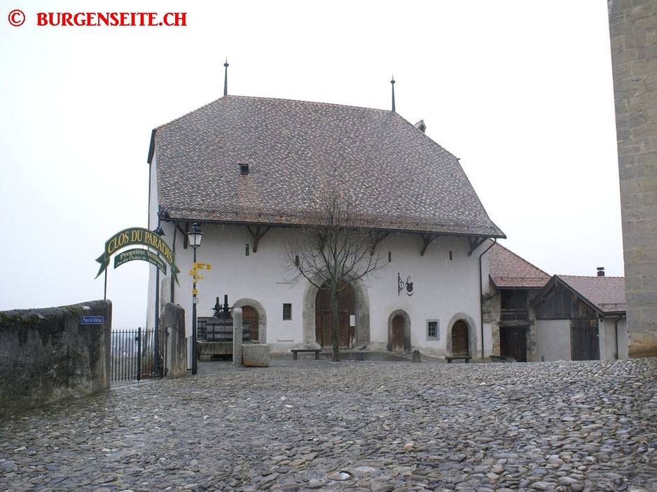Burgstelle-Edlen-von-Aigle–2- Burgstelle Edlen von Aigle