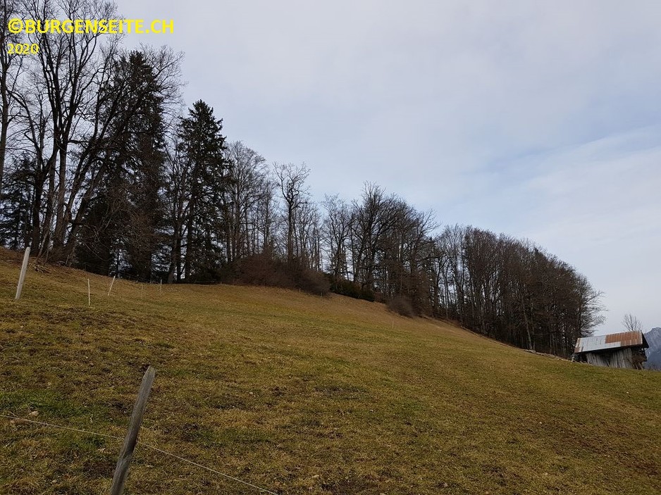 Burgstelle Eichstalden