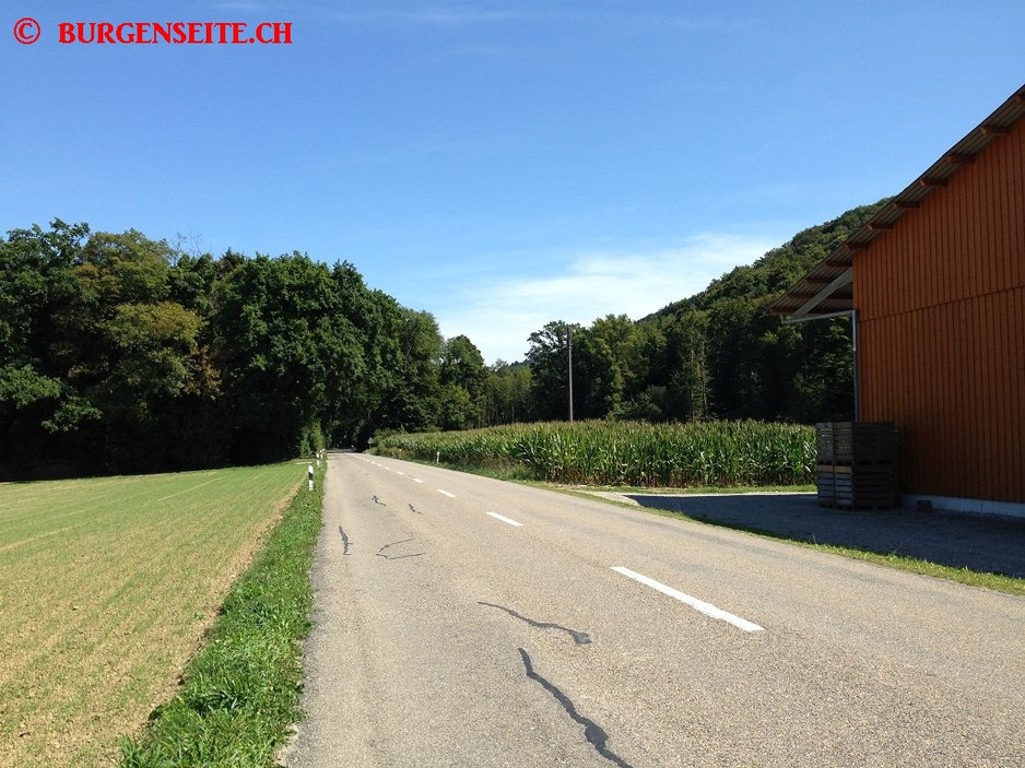 Burgstelle Engi