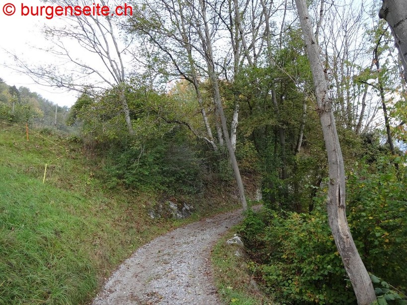 Burgstelle Friewis
