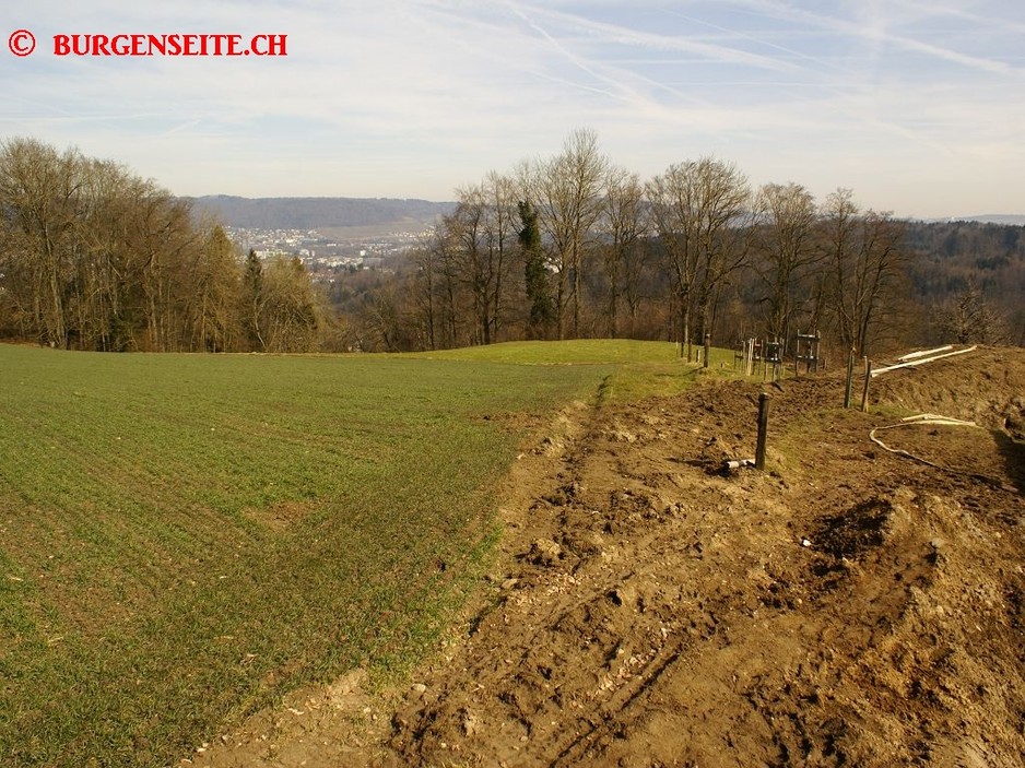 Burgstelle Hasenburg
