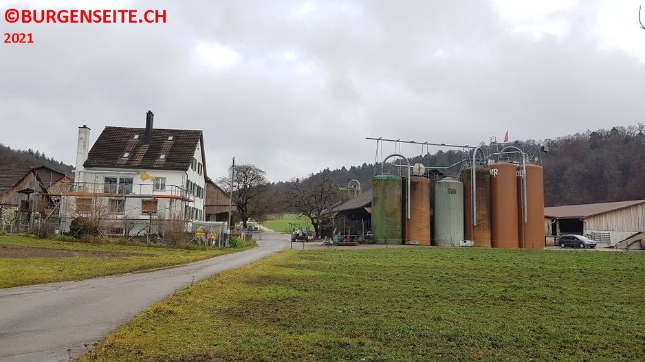 Burgstelle Haslach